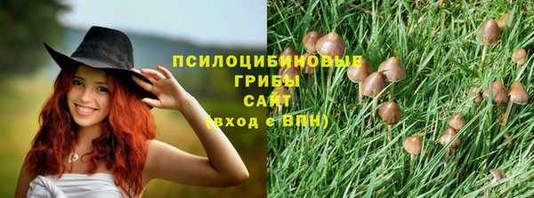 СК Горно-Алтайск