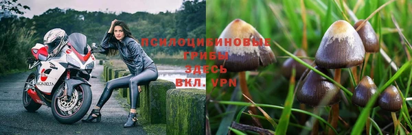 винт Горнозаводск