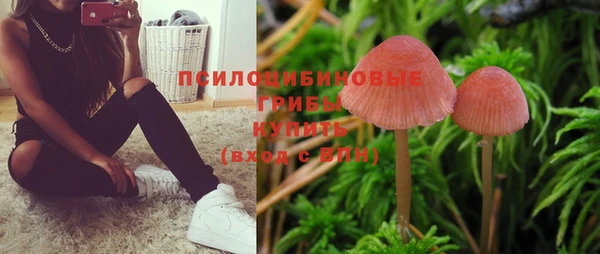мдма Горняк