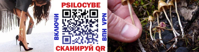 KRAKEN как войти  Чухлома  Галлюциногенные грибы Psilocybe  где найти  